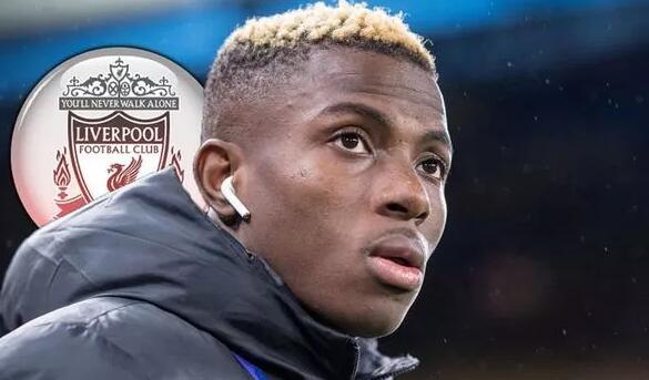 加码影响